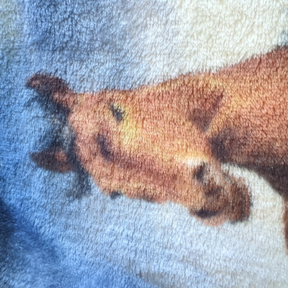 Galloping Horse blanket